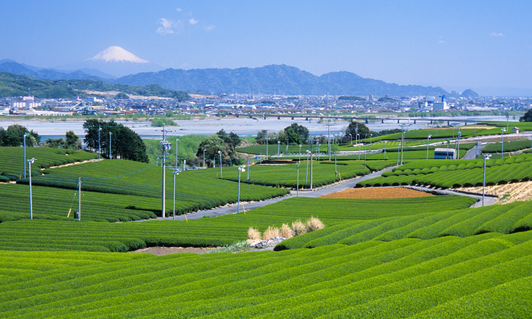静岡県