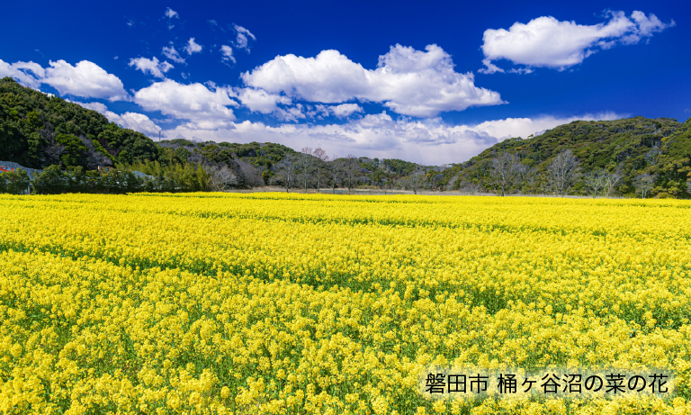 磐田市